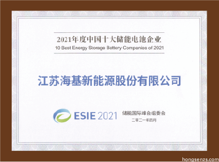 2021年中國十大儲能電池企業